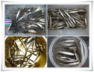 내의지 빙어호조황 ~~