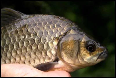 비를 맞는 대구 동부권 저수지들 상황