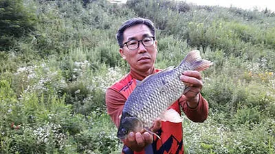 초복에 드리는 조황안내 입니다.