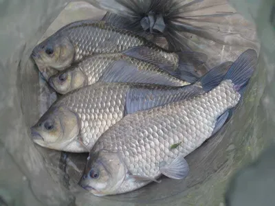 성공했어요.....