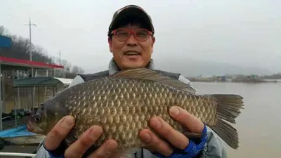 [고삼지] 대물들이 쓱