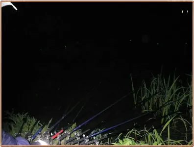 진위천 조황 소식