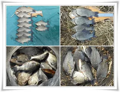 막바지 물낚시 조황보고 ~~