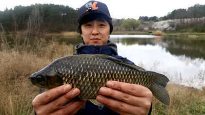 4월 중순에 드리는 경산권 소식 입니다.