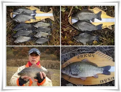 한파에도 월척이 ~~