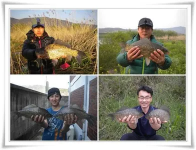 연일4짜,39,38,대물조황들 ~~