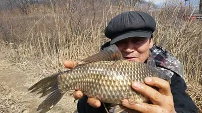 [고삼지] 노지에서 대물들이 나온다 전해라