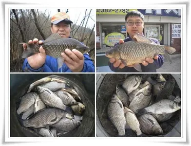 산란임박 호조황 ~~