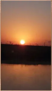 진위천 조황 소식