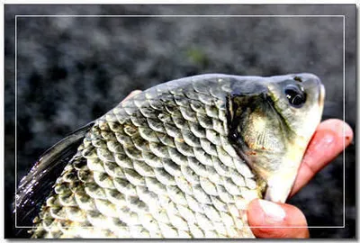 시원한 빗줄기를 기다리면서