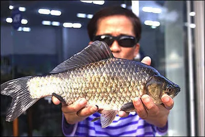 7월 마지막날 드리는 출조안내 입니다.