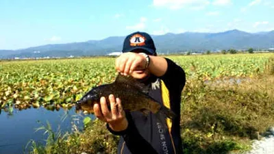 가을소식과 붕어소식 전합니다.