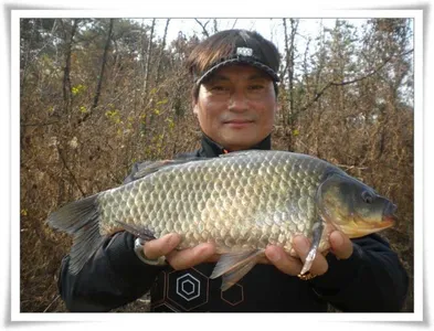 42.5 생애 최고의 기록어 ~~