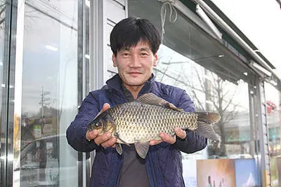 겨울 이야기-초겨울 붕어소식