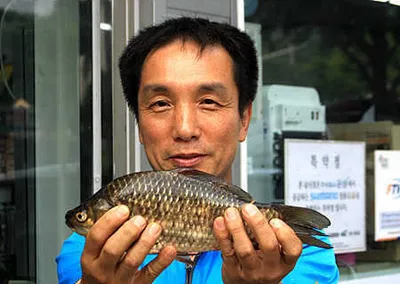 비온뒤 경산권 조황기대