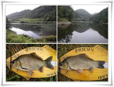 천고어비의 계절 ~~