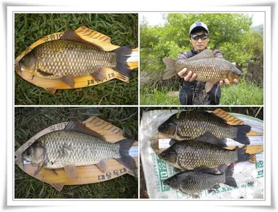 4짜와 대물들의 출몰 ~~