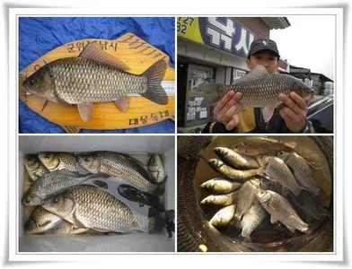 멋진 대물의 출몰 ~~