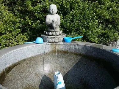 [고삼지] 새우에 대박모습