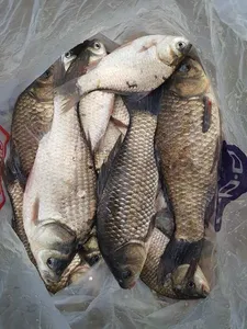 [청미천수로] 극성스럽습니다