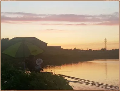 진위천 조황소식