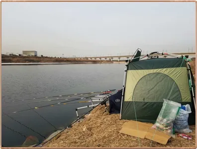 진위천 조황 소식