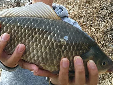 꽃샘추위와 함께온 봄