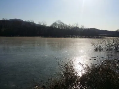 [고삼지] 일부지역 얼음낚시 가능