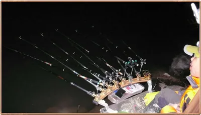 진위천 조황 소식