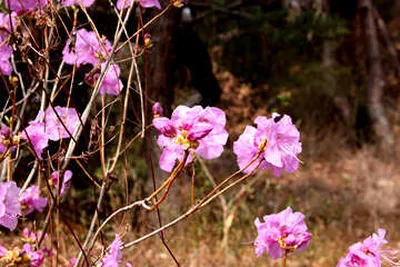 삼월을 보내면서-여기저기 산란소식