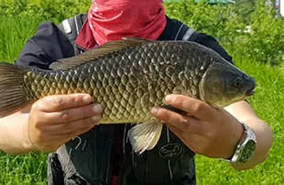 배수전-출조하기 딱! 좋은주말