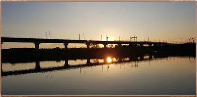 진위천 조황 소식