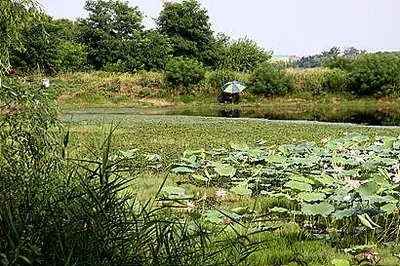 입추지절-가을을 엿보다.