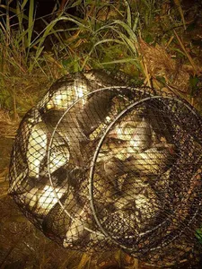 [청미천수로] 초보님들만 출조하세요