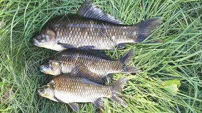 한발 다가선 가을