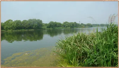 진위천 조황 소식