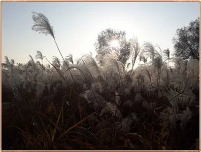 진위천 조황 소식