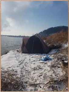 진위천 조황 소식