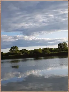 진위천 조황 소식