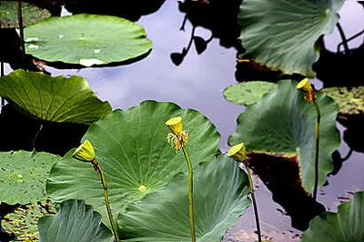 열리는 가을시즌