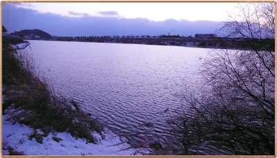 진위천 조황 소식