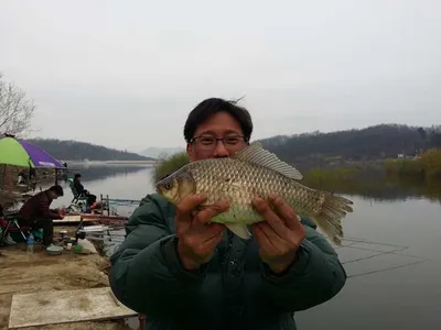 [두창지] 초보님들께 강추합니다