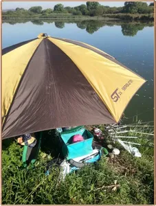 진위천 조황 소식