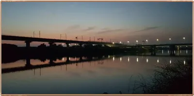 진위천 조황 소식