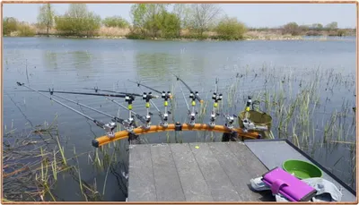 진위천 조황 소식