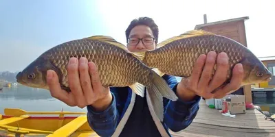 [고삼지] 하류권의 4짜들