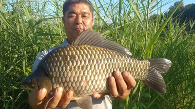 폭염속에 4짜대물들