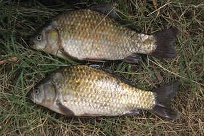 구월중순-주말조황 안내 입니다.