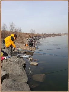 진위천 조황 소식