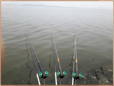 진위천 조황  소식